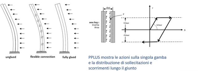 202504_PPlus2